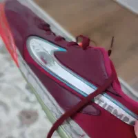 کتانی سالنی