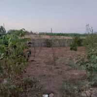 فروش زمین باغی