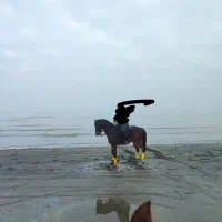 اسب ورزشی|اسب و تجهیزات اسبسواری|تبریز, |دیوار