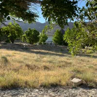 شهرک-آویشن-550-متر-زمین-2نبش-ششدانگ
