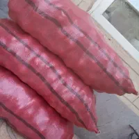 سیب زمینی بذری جلی مدل 402