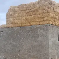 پرس کلش گندم