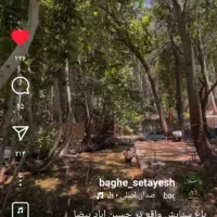 کلبه سوئیسی . کلبه درختی . کلبه معمولی2 میلیون