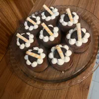 پخت انواع کیک و کوکی و چیز کیک کافی شاپی|خوردنی و آشامیدنی|قم, منبع آب|دیوار