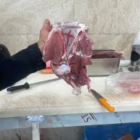 قصاب حرفه ای