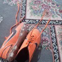 این کفش رو تازه خریدم نو نو دورزباش رفتم چمن|کیف، کفش، کمربند|باوی, |دیوار