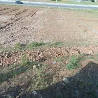 زمین مسکونی چنارستان سفلی