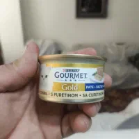 کنسرو گربه گورمت