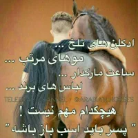 مادیان 7سال کرد سواری تکمیل دم گیر