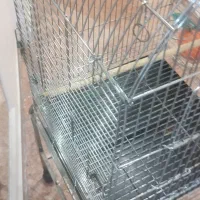 قفس پرنده|لوازم جانبی حیوانات|اندیشه, اندیشه فاز ۵|دیوار