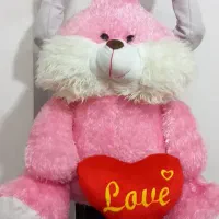 خرگوش بزرگ یک میلیون سالم و نو