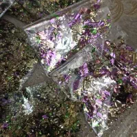 تزیینی|صنایع دستی و سایر لوازم تزئینی|تبریز, |دیوار