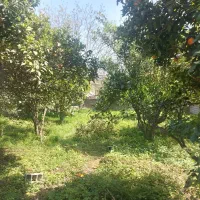 نوشهر محدوده چلندر ۹۵۰متر ویلاباغ باسند|فروش خانه و ویلا|نوشهر, |دیوار