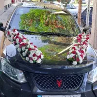 گل سفید(دیزاین زیبا)|گل و گیاه طبیعی|کرمان, |دیوار