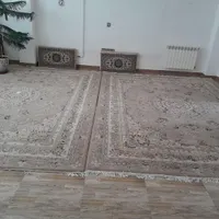 فرش ۵۰۰شانه