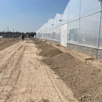 فروش-گلخانه-صنعتی