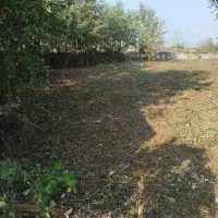 علفتراشی وچمنزنی وعلفزنی وتمشک زنی و لی زنی دستگاه|خدمات باغبانی و درختکاری|رشت, شهریاران|دیوار