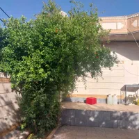 رهن کامل خانه ویلایی