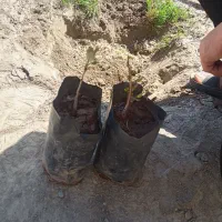 اجاره زمین ۱۰۰۰متری