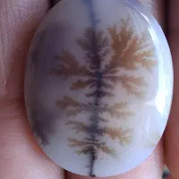 انگشتر شجر|جواهرات|اراک, |دیوار