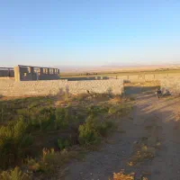 فروش-دامپروری