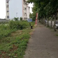 ۳۰۰۰مترزمین کشاورزی سنتی