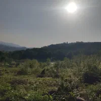 300-متر-زمین-مسکونی-کوره-شیرنسا