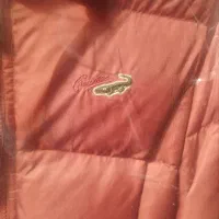 معاوضه کاپشن اورجینال خارجی|لباس|ری, دیلمان|دیوار