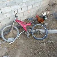 دوچرخه