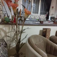 آباژور