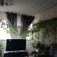 گل پتوس|گل مصنوعی|مشهد, یاس|دیوار