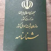 شناسنامه گم شده
