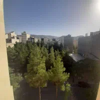 ۱۴۰ متر تکواحدی هاشمیه تخلیه بدون مالک فول امکانات|اجارهٔ آپارتمان|مشهد, چهارچشمه|دیوار