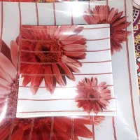 دیس و پیش دستی|ظروف سرو و پذیرایی|هشتگرد, فاز ۷ مهستان|دیوار