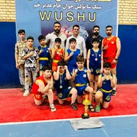 آموزش ووشوساندا|خدمات آموزشی|اهواز, امانیه|دیوار