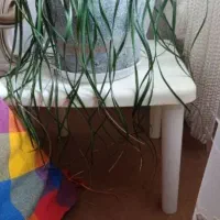 میز پلاستیکی محکم وبادوام