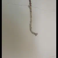 شرکت سم پاشی و موریانه زدایی(آسایش) با مجوز رسمی|خدمات نظافت|کوهدشت, |دیوار