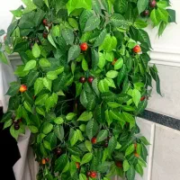 درختچه مصنوعی