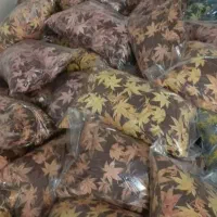 فروش بالشت ۳کیلوی فقط ۴۳