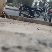 هوندا 125|موتورسیکلت|زرند, |دیوار