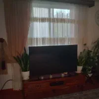 یک جفت پرده با کتیبه