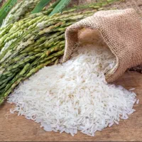 پخش برنج و عسل