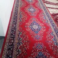 کناره 4300|گلیم، جاجیم، گبه|بیرجند, |دیوار