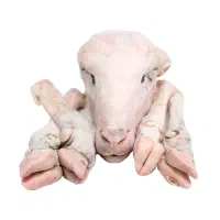 تمیز کردن کله پاچه در منزل، تمیز و حرفه ای