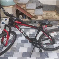 دوچرخه کوهستانی ویوا مدل پونتو(PUNTU)