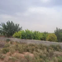 فروش باغ قابلیت دامداری و گلخانه|فروش دفتر صنعتی، کشاورزی، تجاری|کرج, کیانمهر|دیوار