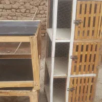 کرسی و جفت کن|لوازم جانبی حیوانات|ساوه, |دیوار