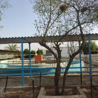 فروش 7هکتار  باشگاه سوارکاری و زمین کشاورزی|فروش دفتر صنعتی، کشاورزی، تجاری|باوی, |دیوار