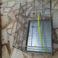 قفس پرنده
