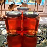 عسل کوهسار کلیدر عسل ۱۰۰٪ طبیعی کوهستانی بینالود